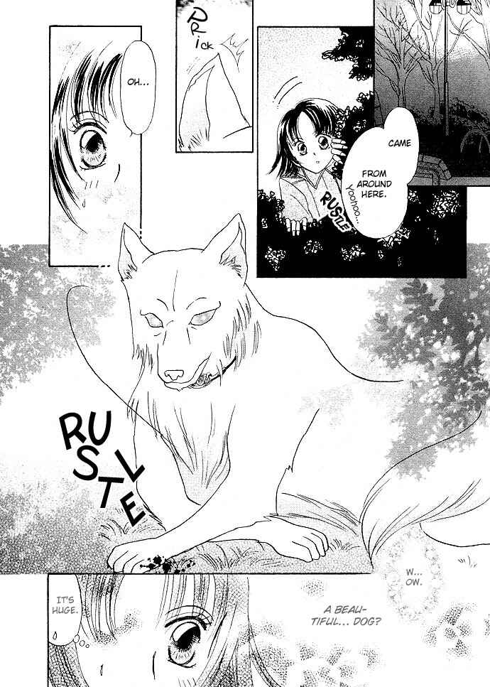 Otoko wa Ookami nano yo? Chapter ? - Page 5