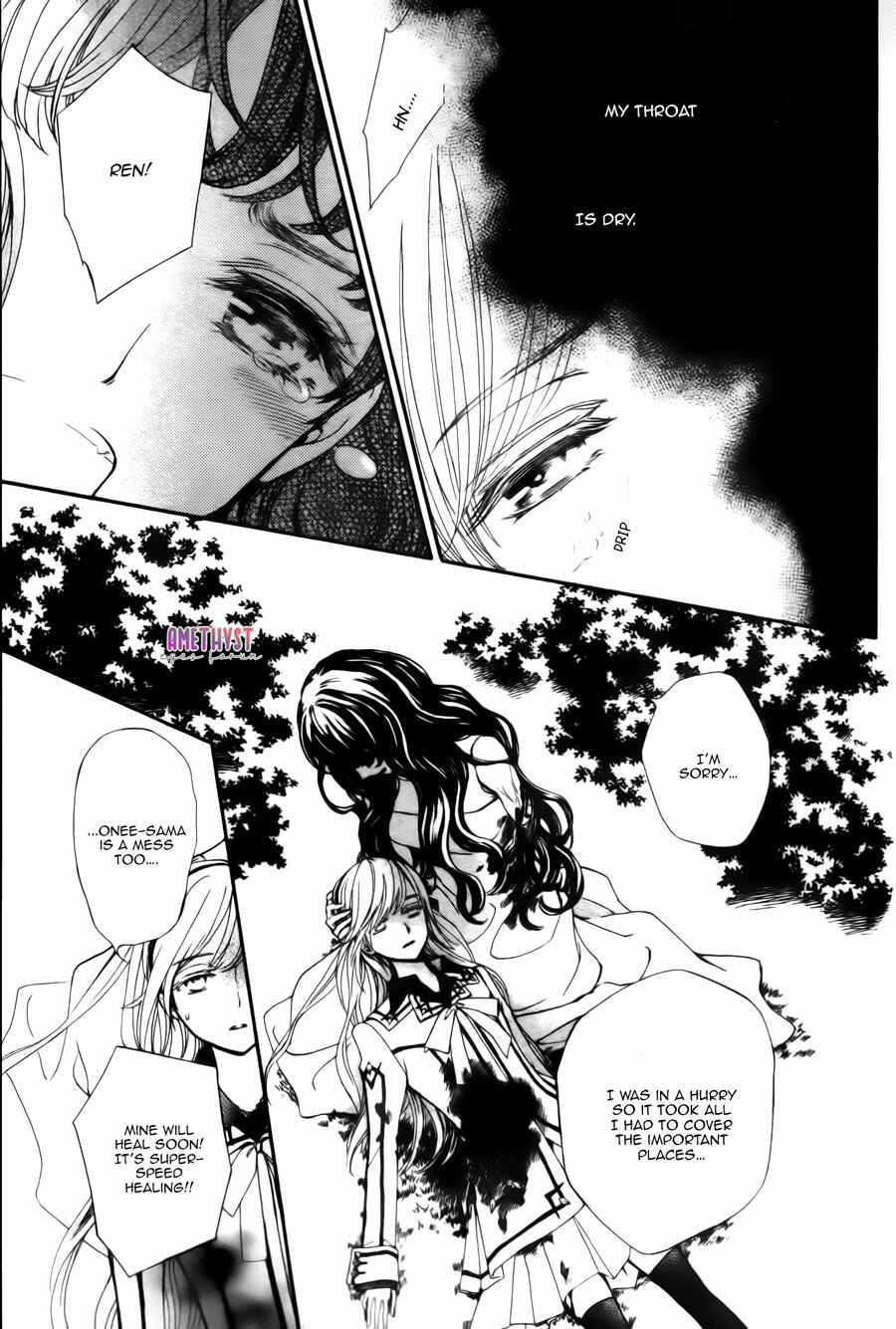 Vampire Knight Memories Chapter 21 - Page 27