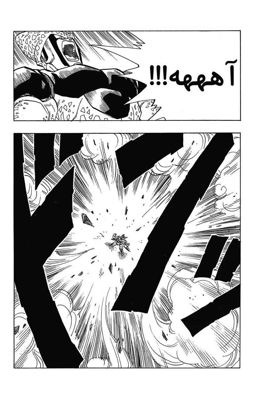 Dragon Ball Chapter 409 - Page 5