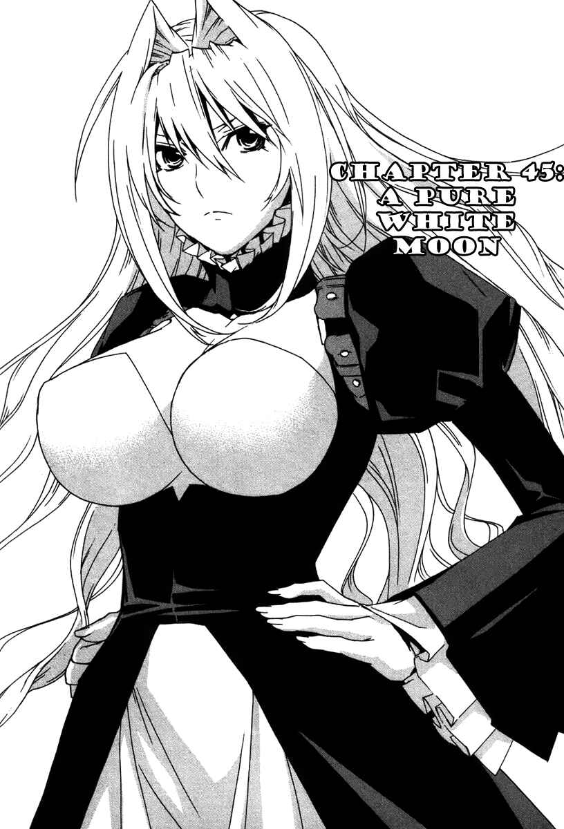 Sekirei Chapter 45 - Page 1