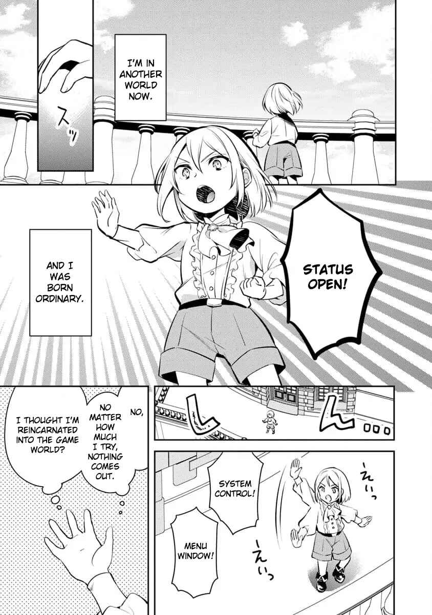 Akuyaku Reijou no Ani ni Tensei Shimashita Chapter 1 - Page 11
