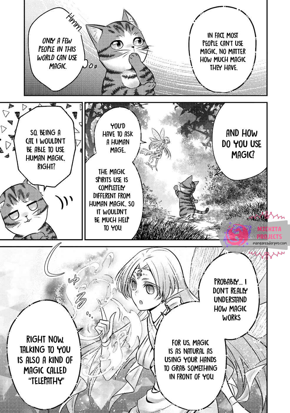 Wagahai wa Nekomadoushi de Aru: Kijitora Luke no Kaiteki Cheat Neko Seikatsu Chapter 1 - Page 29