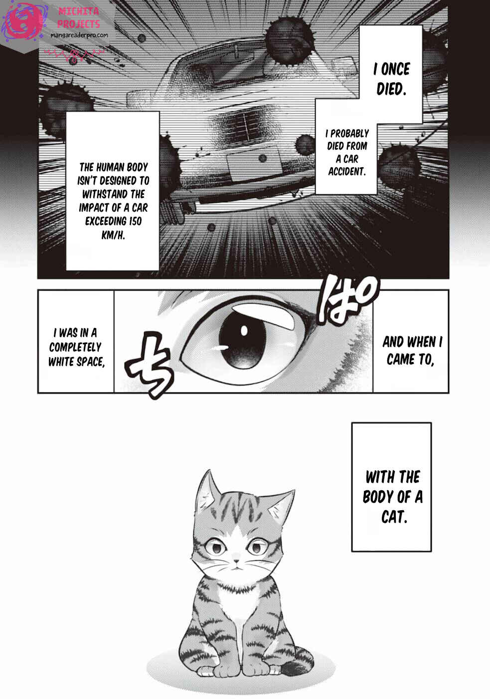 Wagahai wa Nekomadoushi de Aru: Kijitora Luke no Kaiteki Cheat Neko Seikatsu Chapter 1 - Page 8