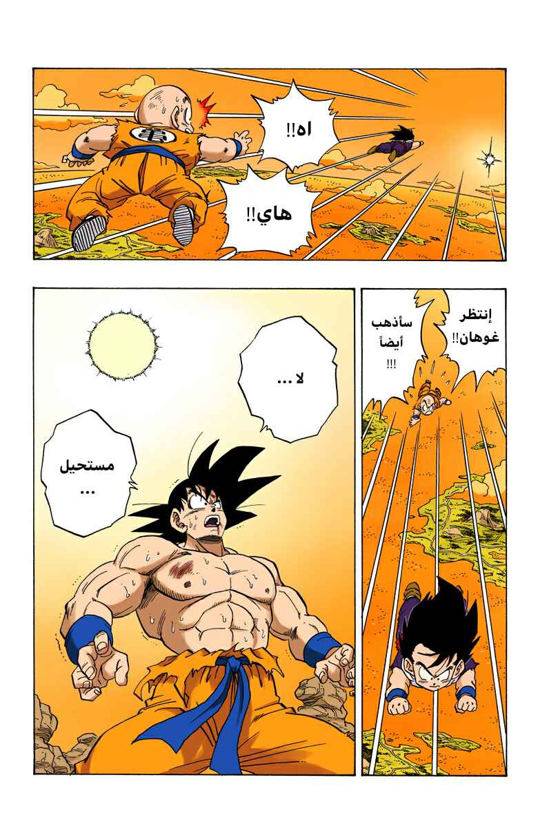 Dragon Ball (Official Colored) Chapter 233 - Page 3