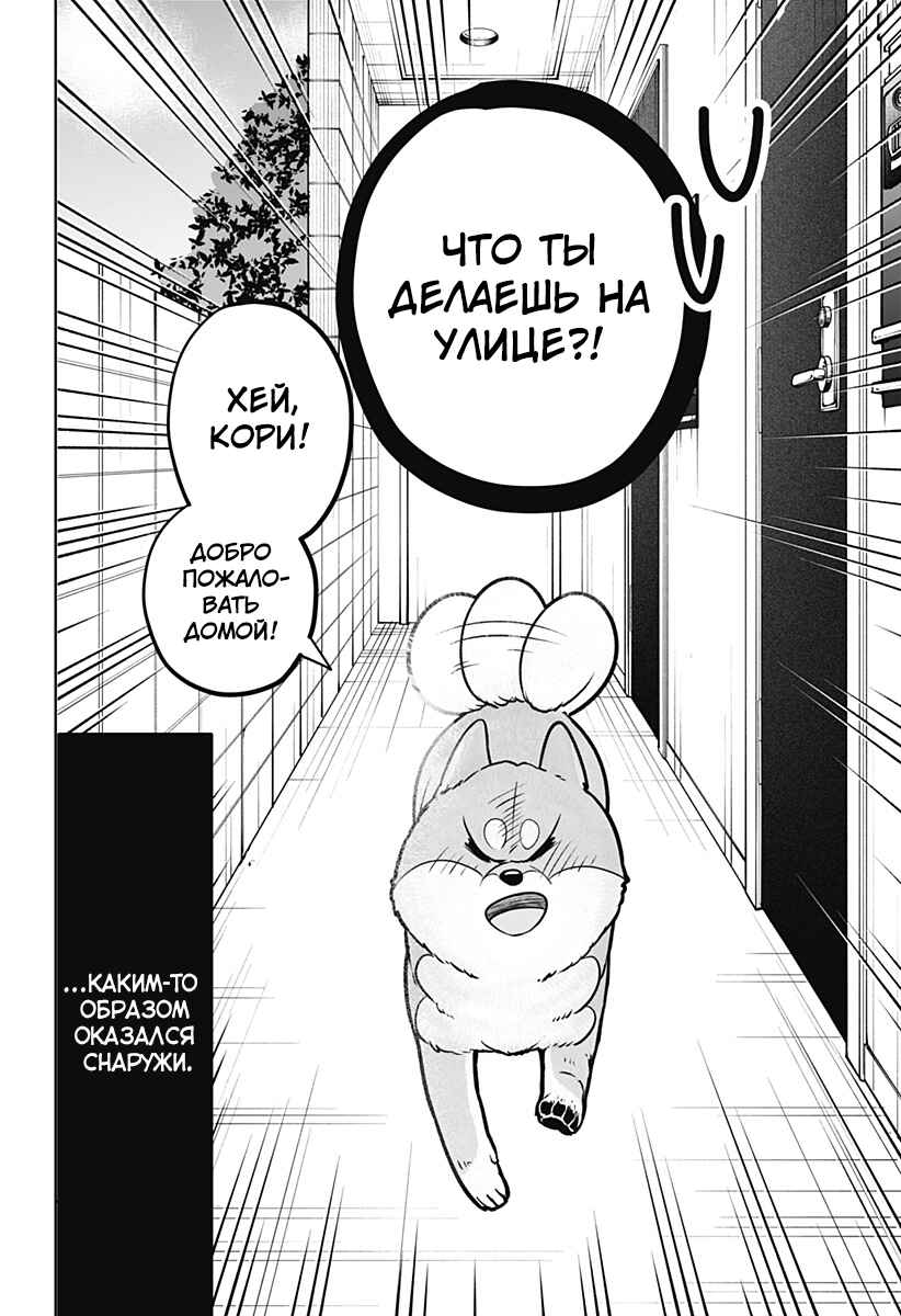 Shiba Inu Rooms Chapter 10 - Page 2
