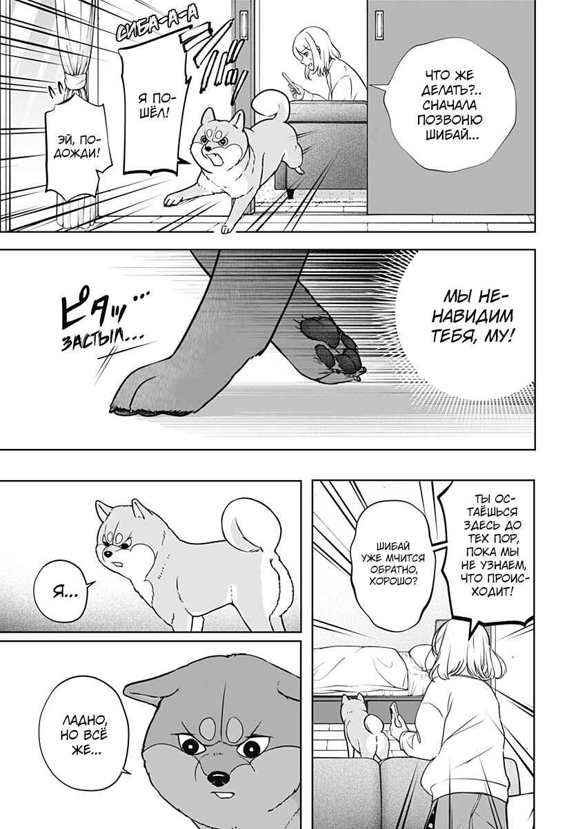 Shiba Inu Rooms Chapter 10 - Page 21