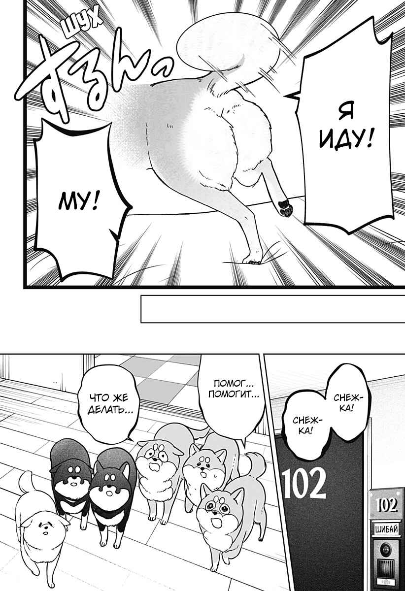 Shiba Inu Rooms Chapter 10 - Page 22