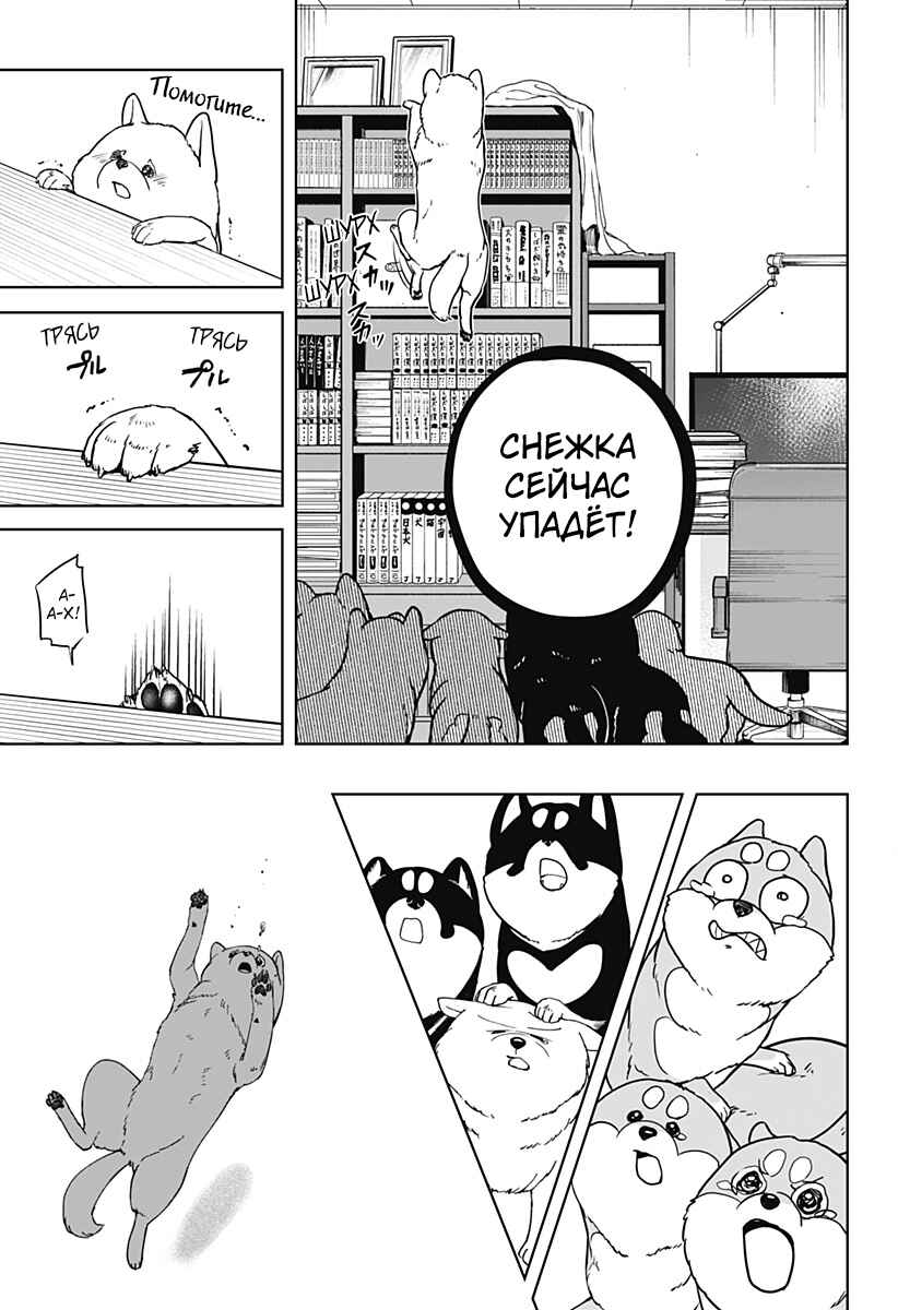 Shiba Inu Rooms Chapter 10 - Page 23