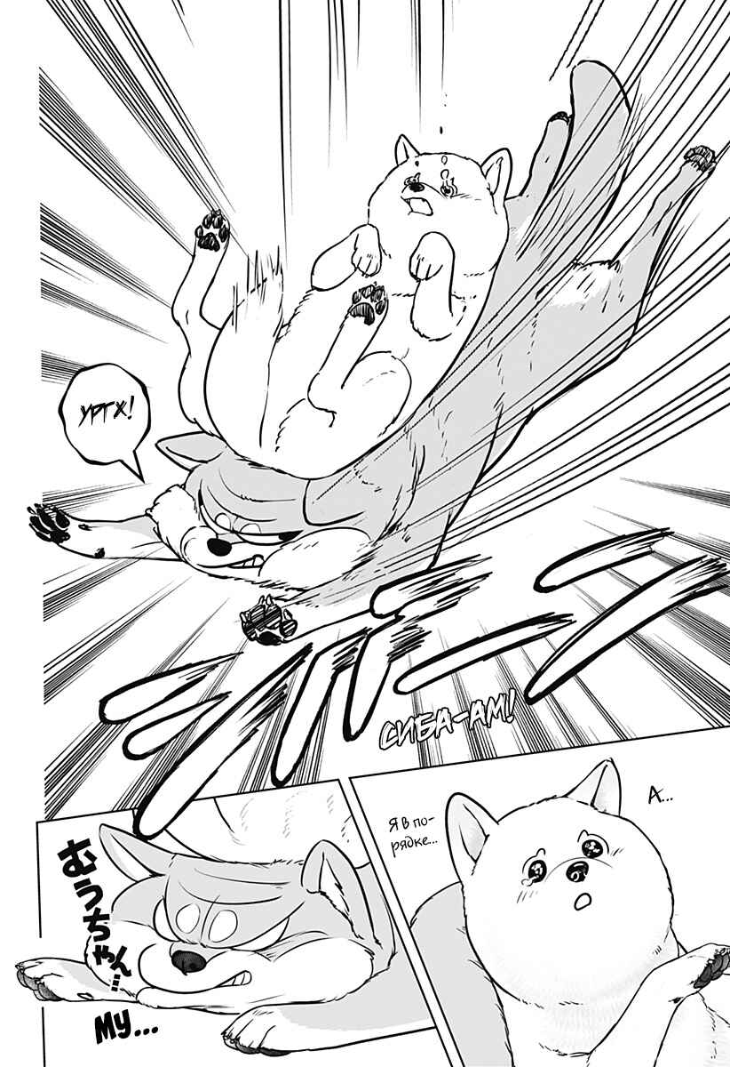 Shiba Inu Rooms Chapter 10 - Page 24