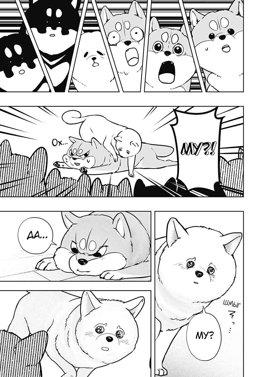 Shiba Inu Rooms Chapter 10 - Page 25