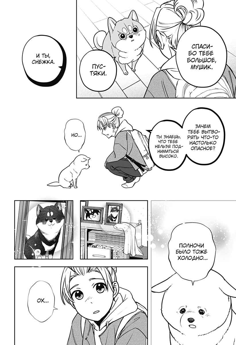 Shiba Inu Rooms Chapter 10 - Page 28