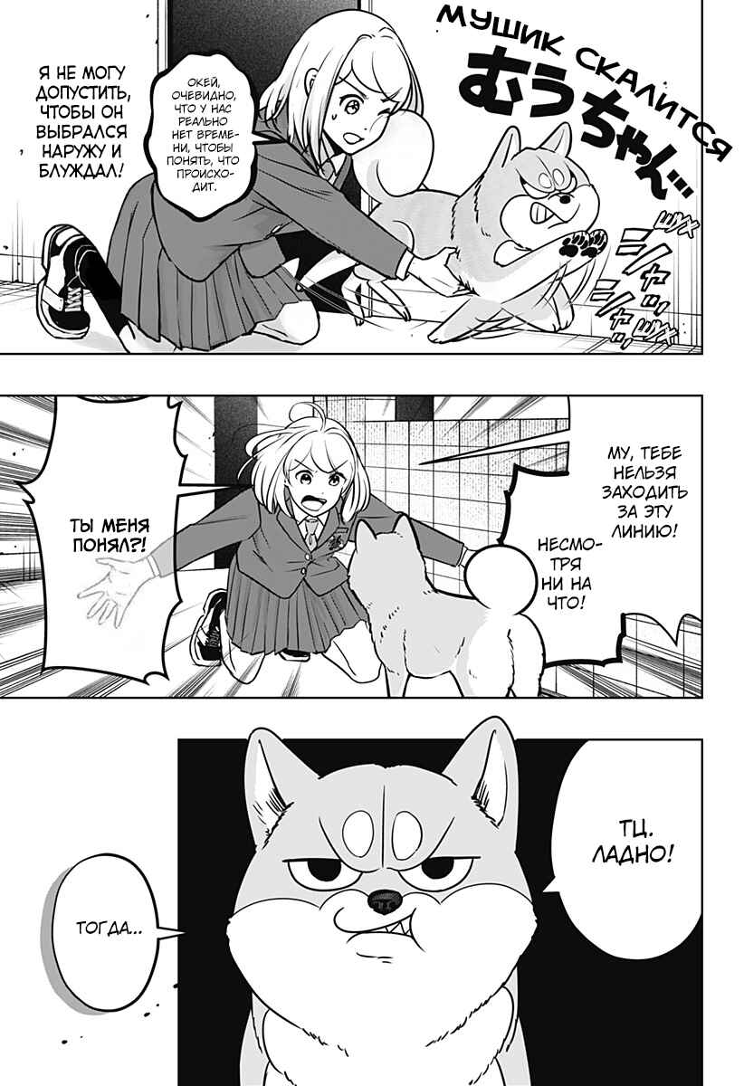 Shiba Inu Rooms Chapter 10 - Page 5