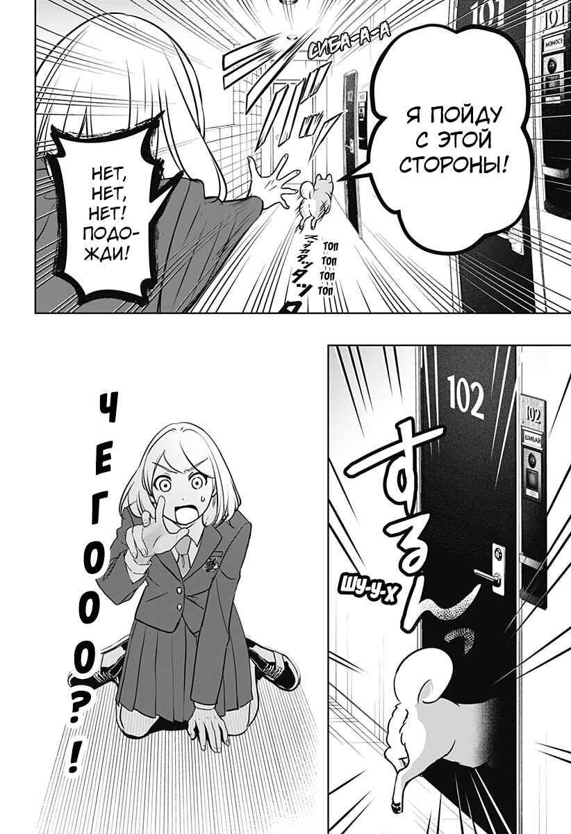 Shiba Inu Rooms Chapter 10 - Page 6
