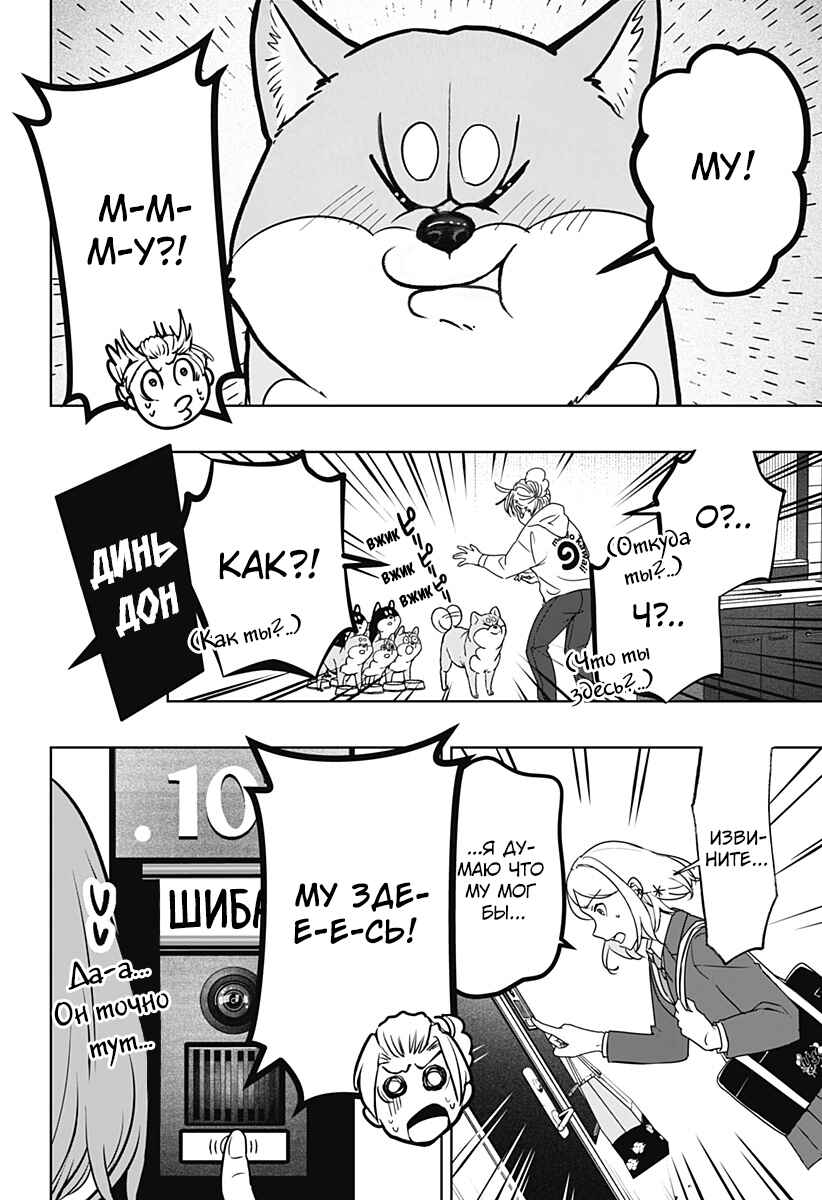 Shiba Inu Rooms Chapter 10 - Page 8