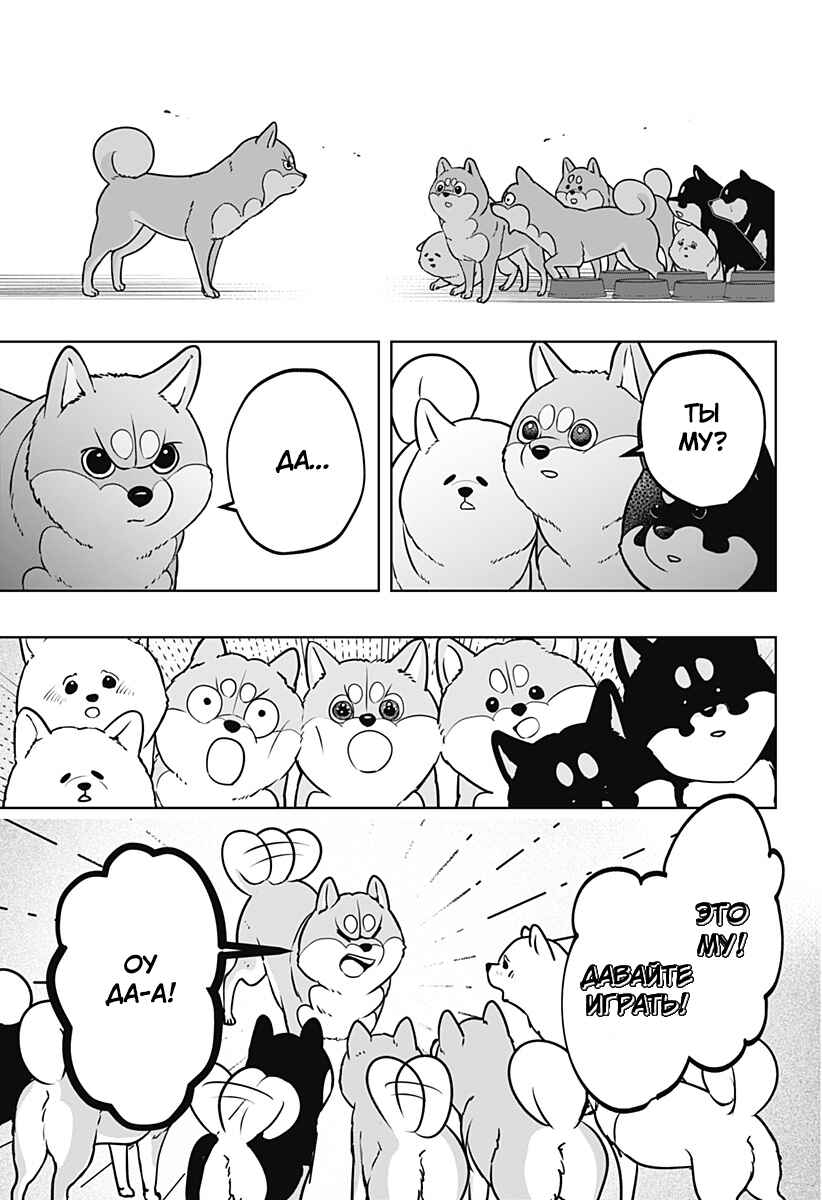 Shiba Inu Rooms Chapter 10 - Page 9