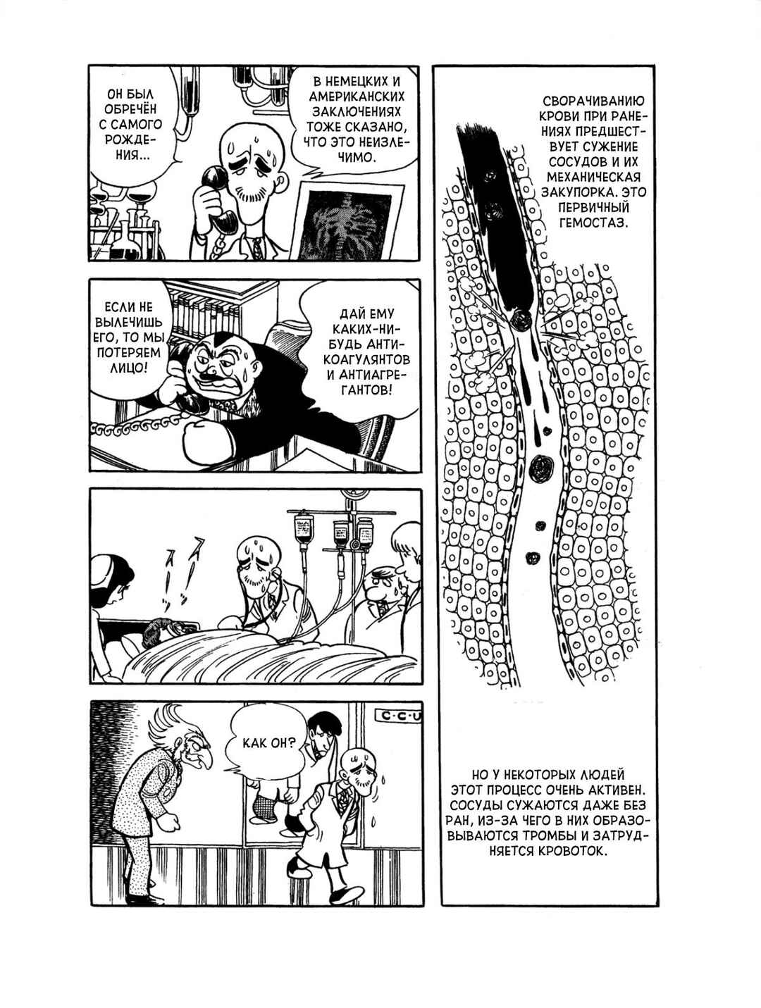 Black Jack Chapter 78 - Page 18