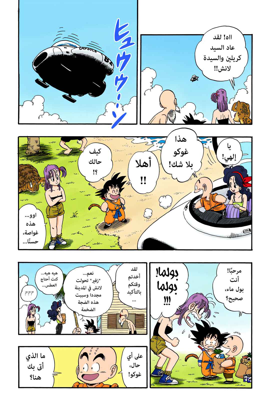 Dragon Ball (Official Colored) Chapter 71 - Page 11