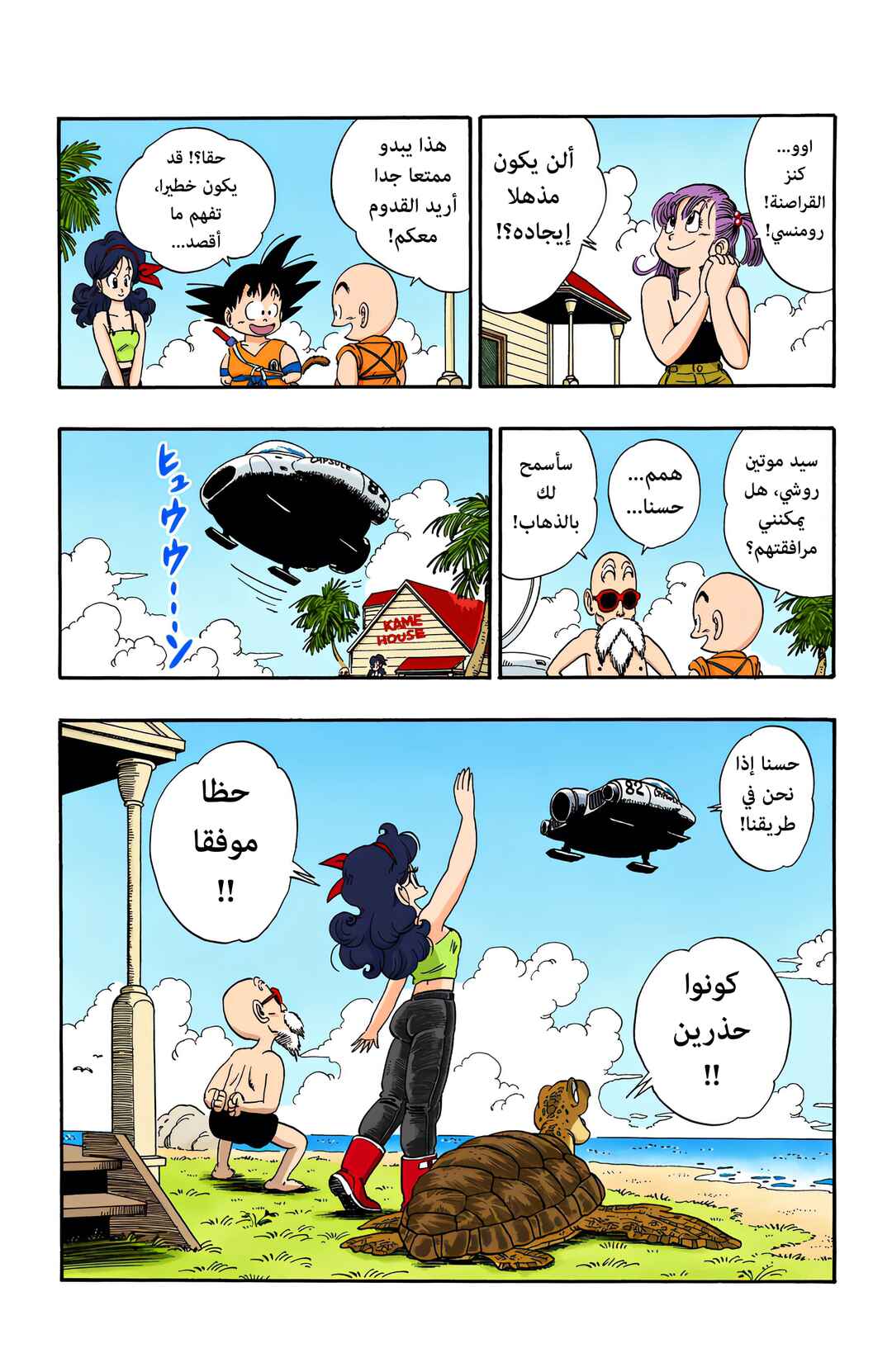 Dragon Ball (Official Colored) Chapter 71 - Page 13