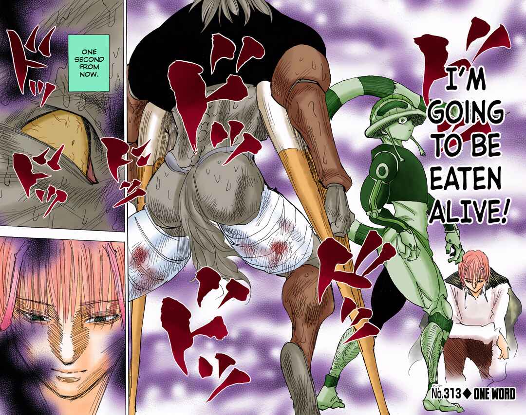 Hunter x Hunter (Official Colored) Chapter 313 - Page 2