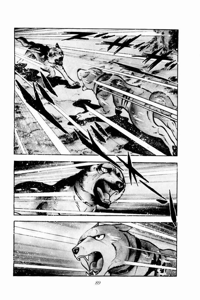 Silver Fang – The Shooting Star Gin – Chapter 16 - Page 4