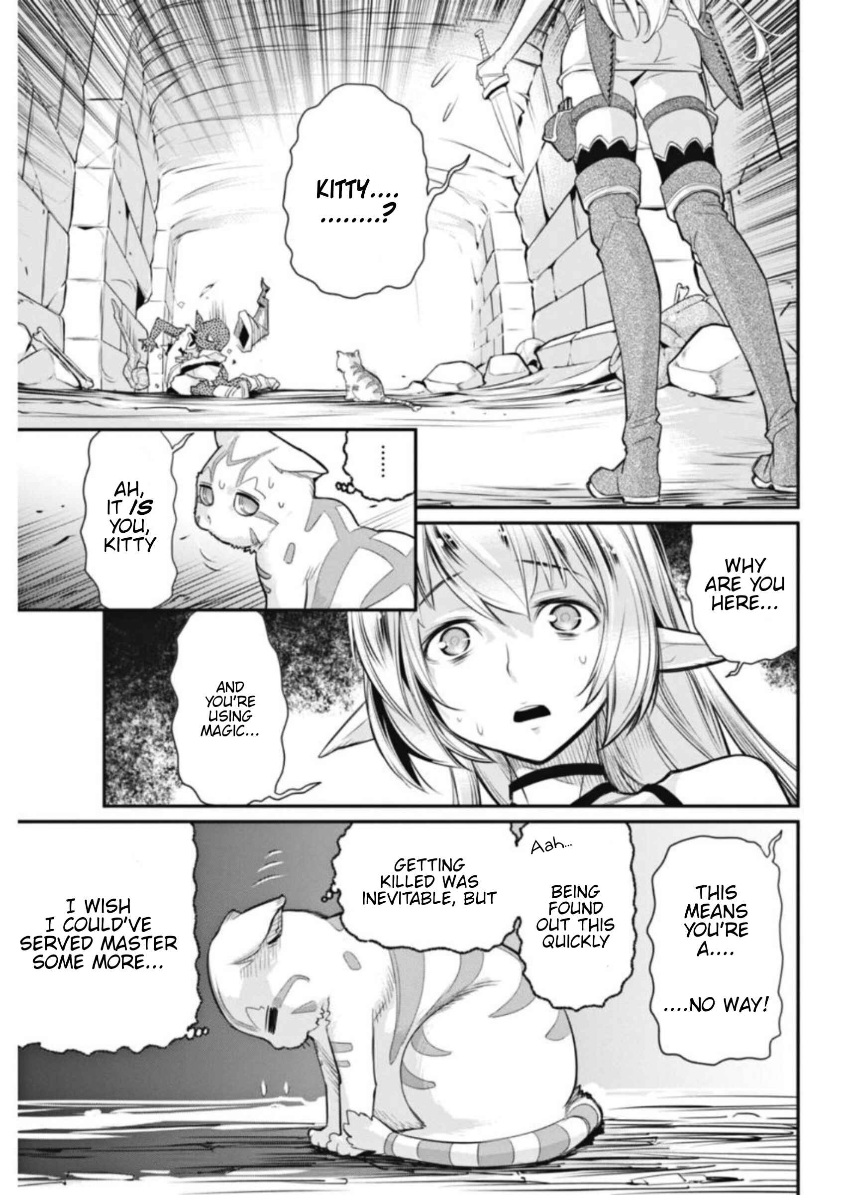 S-Rank Monster no "Behemoth" dakedo, Neko to Machigawarete Elf Musume no Pet to Shite Kurashitemasu Chapter 2 - Page 17