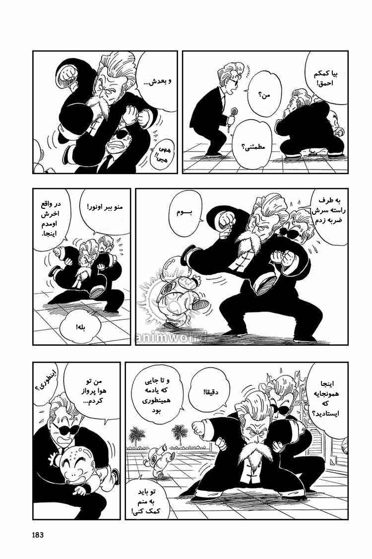 Dragon Ball Chapter 42 - Page 10