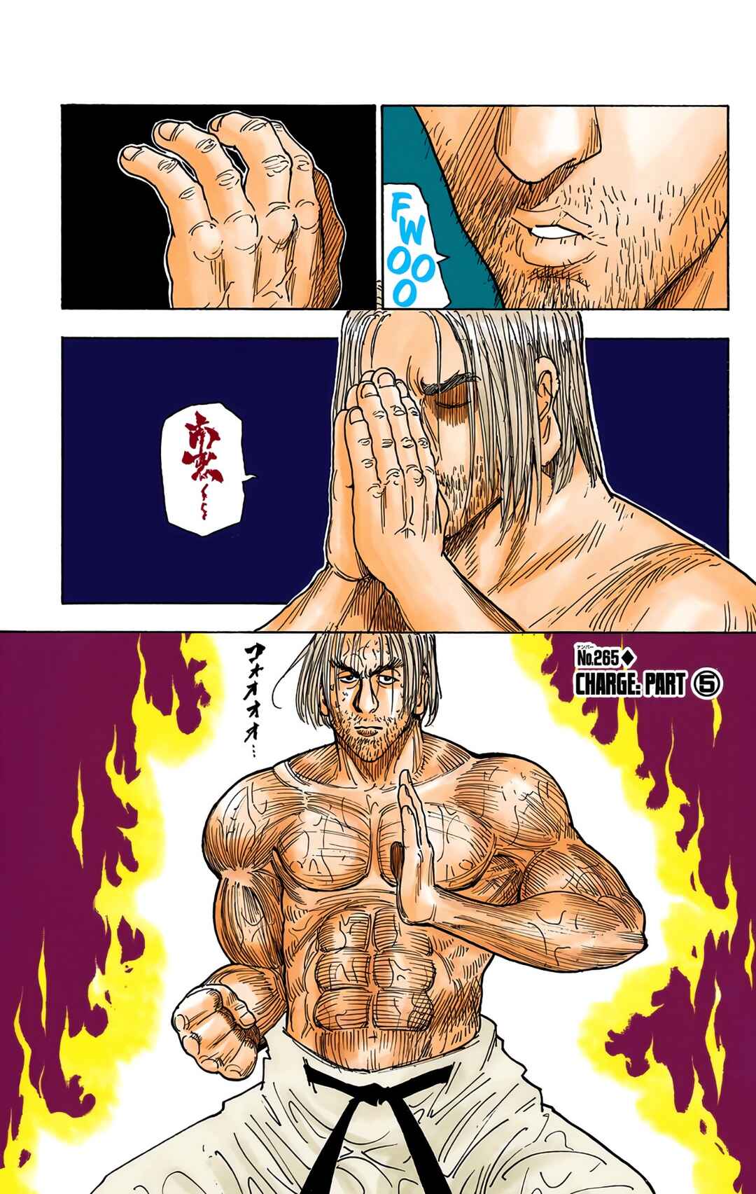 Hunter x Hunter (Official Colored) Chapter 265 - Page 1