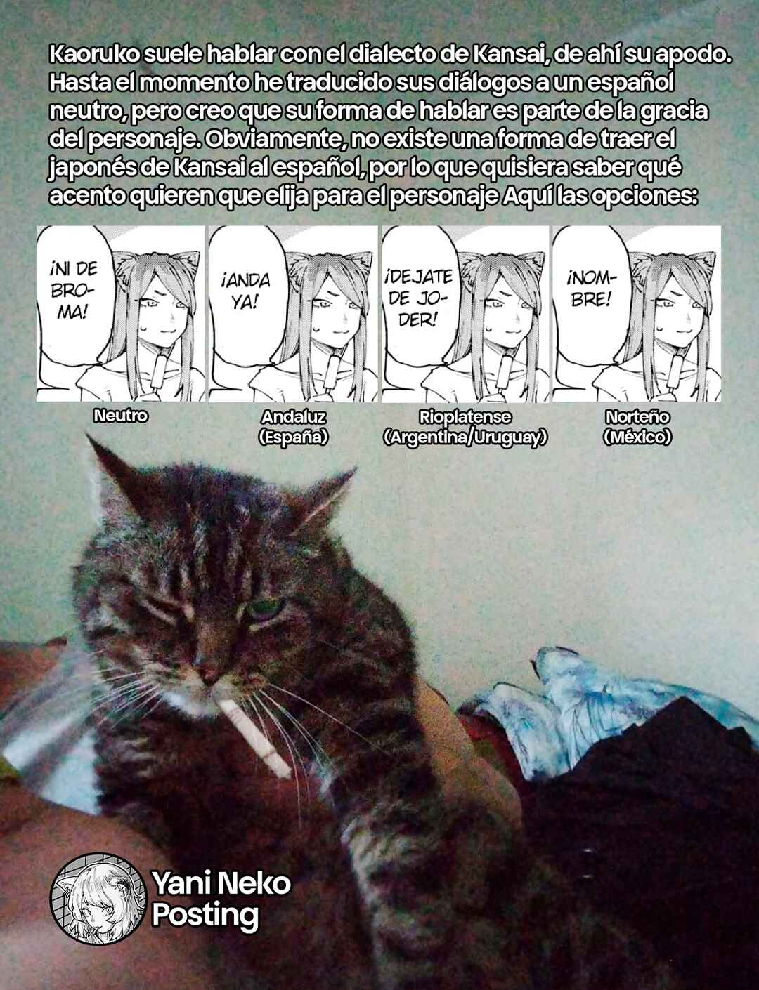Yani Neko Chapter 55 - Page 5