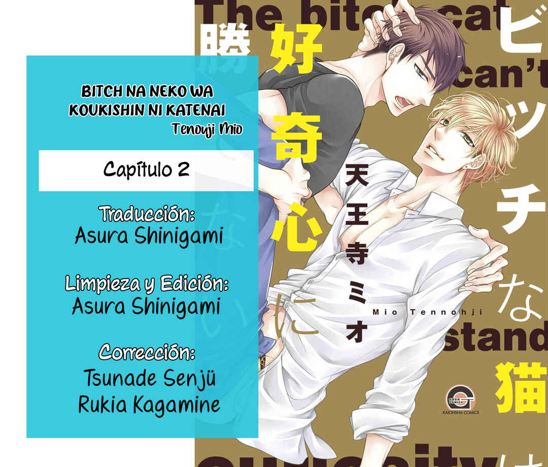 Bitch na Neko wa Koukishin ni Katenai Chapter 2 - Page 17