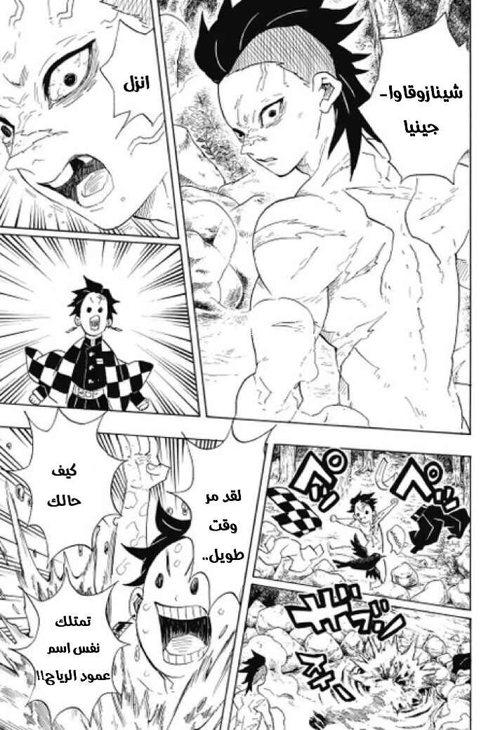 Demon Slayer: Kimetsu no Yaiba Chapter 101 - Page 10