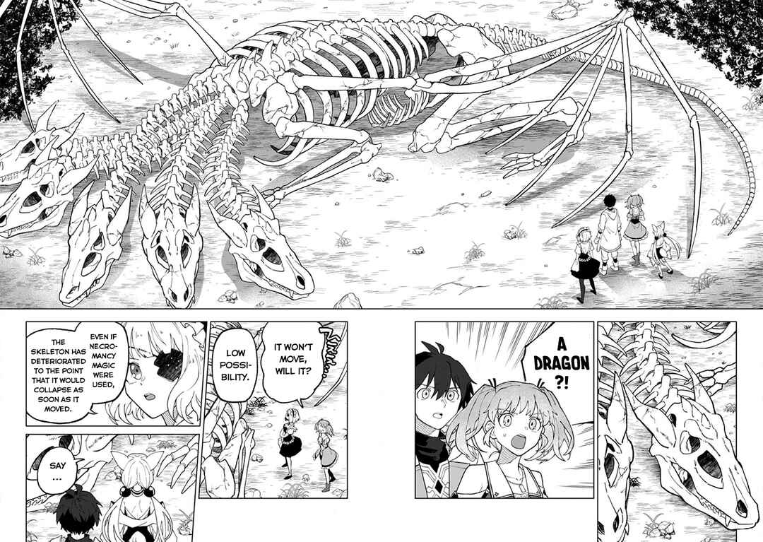 Yuusha Party wo Tsuihou Sareta Shiro Madoushi, S-Rank Boukensha ni Hirowareru: Kono Shiro Madoushi ga Kikakugai Sugiru Chapter 27 - Page 3