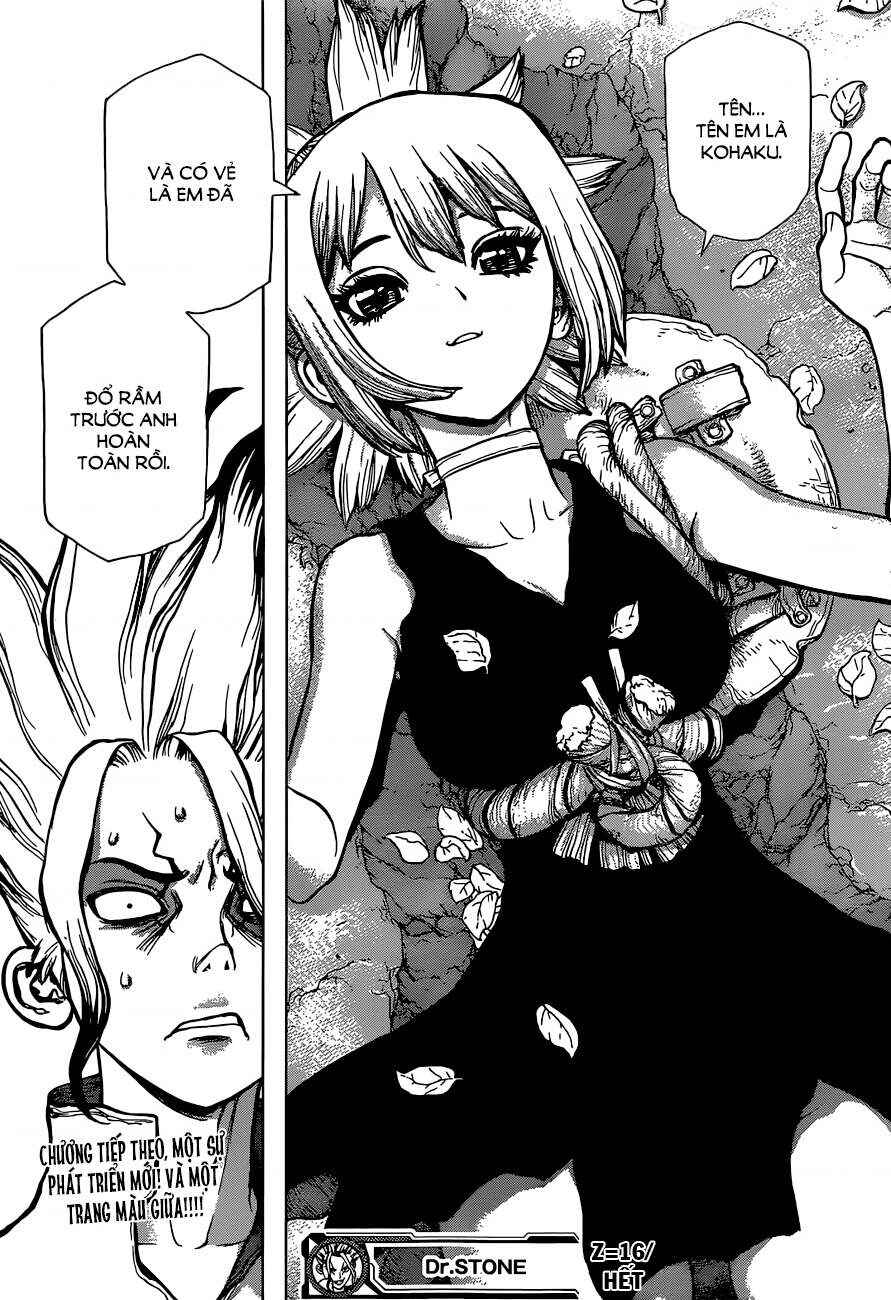 Dr.STONE Chapter 16 - Page 19