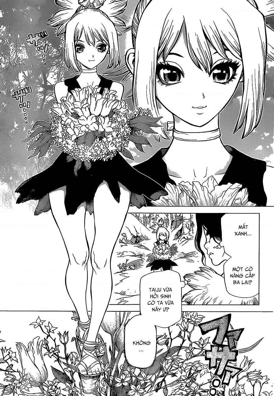Dr.STONE Chapter 16 - Page 5