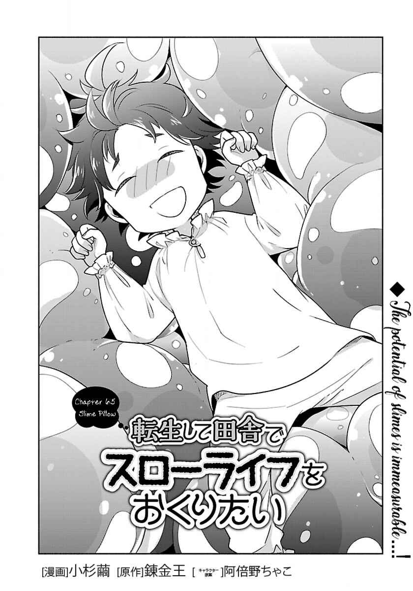 Tensei Shite Inaka de Slow Life wo Okuritai Chapter 65 - Page 2