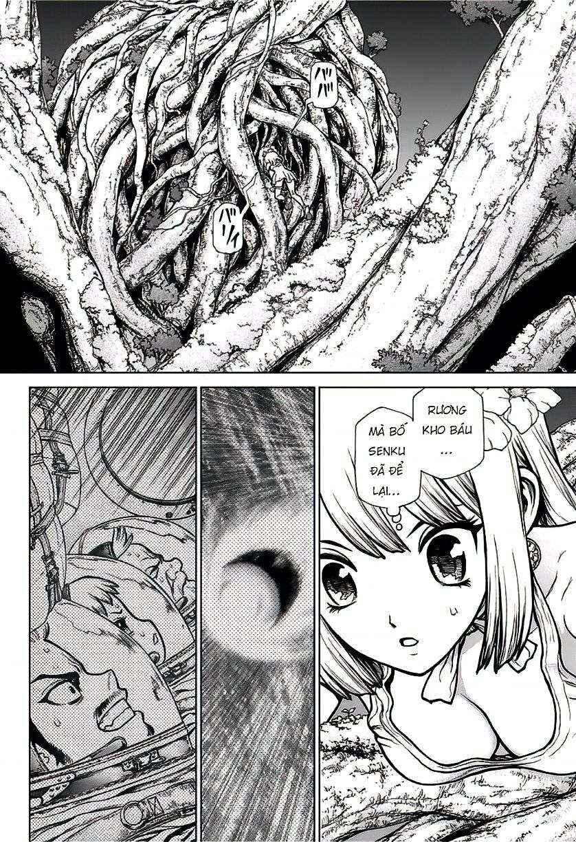Dr.STONE Chapter 114 - Page 4