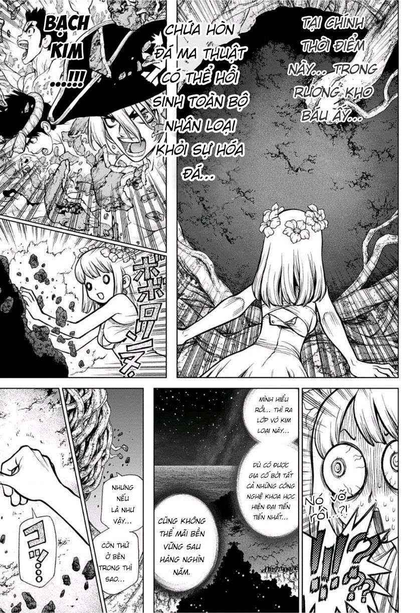Dr.STONE Chapter 114 - Page 5