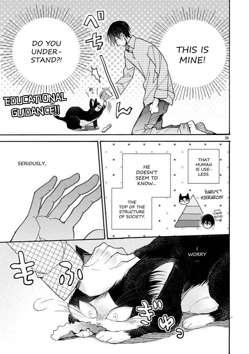 Doukyonin wa Hiza, Tokidoki, Atama no Ue. Chapter 3.5 - Page 10