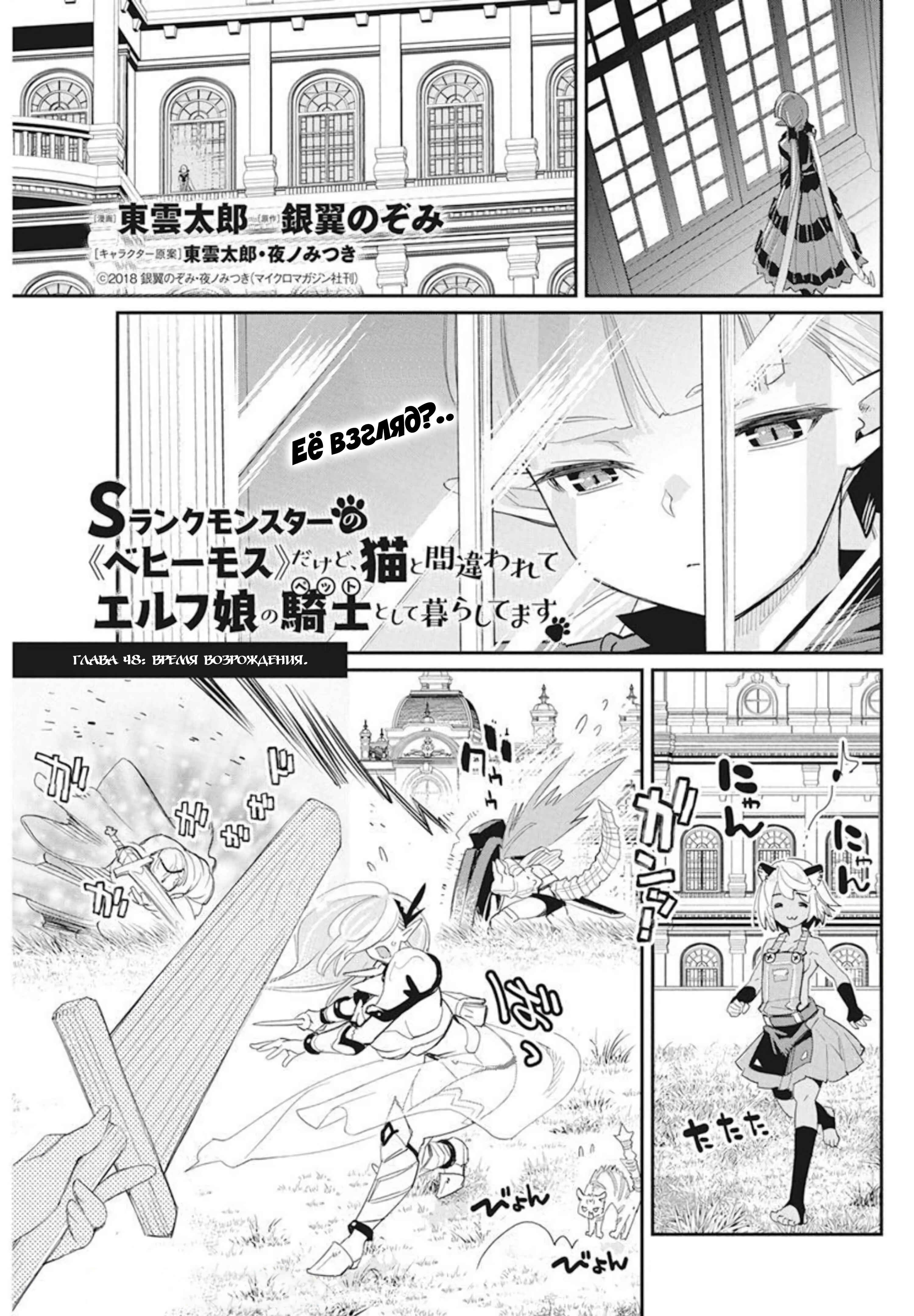 S-Rank Monster no "Behemoth" dakedo, Neko to Machigawarete Elf Musume no Pet to Shite Kurashitemasu Chapter 48 - Page 2