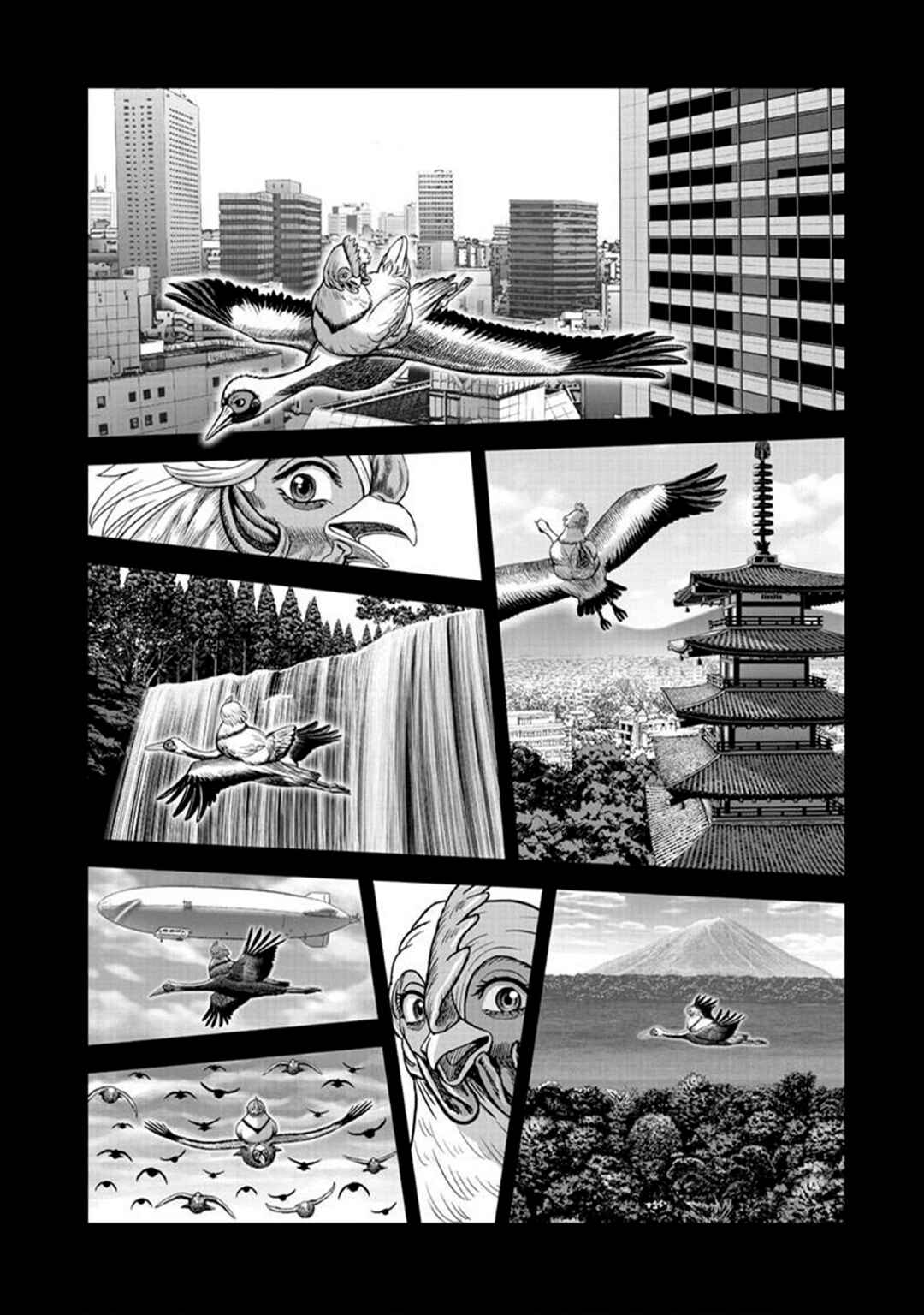 Niwatori Fighter Chapter 51 - Page 42