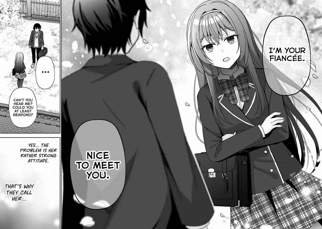 Iinazuke ga Dekita to Omottara, Sono Iinazuke ga Gakkou de Yuumei na "Akuyaku Reijou" Dattan dakedo, Dou Sureba Ii? Chapter 1.1 - Page 17