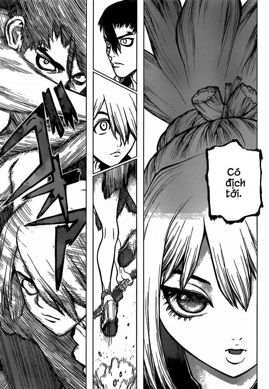 Dr.STONE Chapter 23 - Page 8