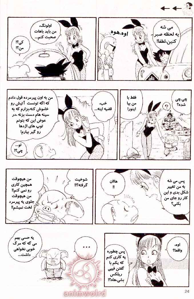 Dragon Ball Chapter 15 - Page 10