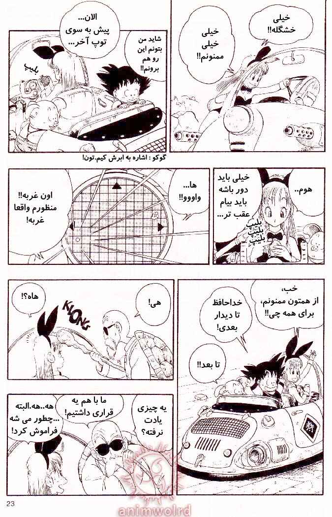 Dragon Ball Chapter 15 - Page 9