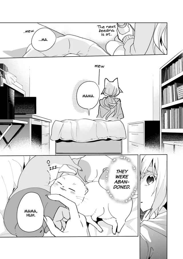 Catulus Syndrome Chapter 72 - Page 5