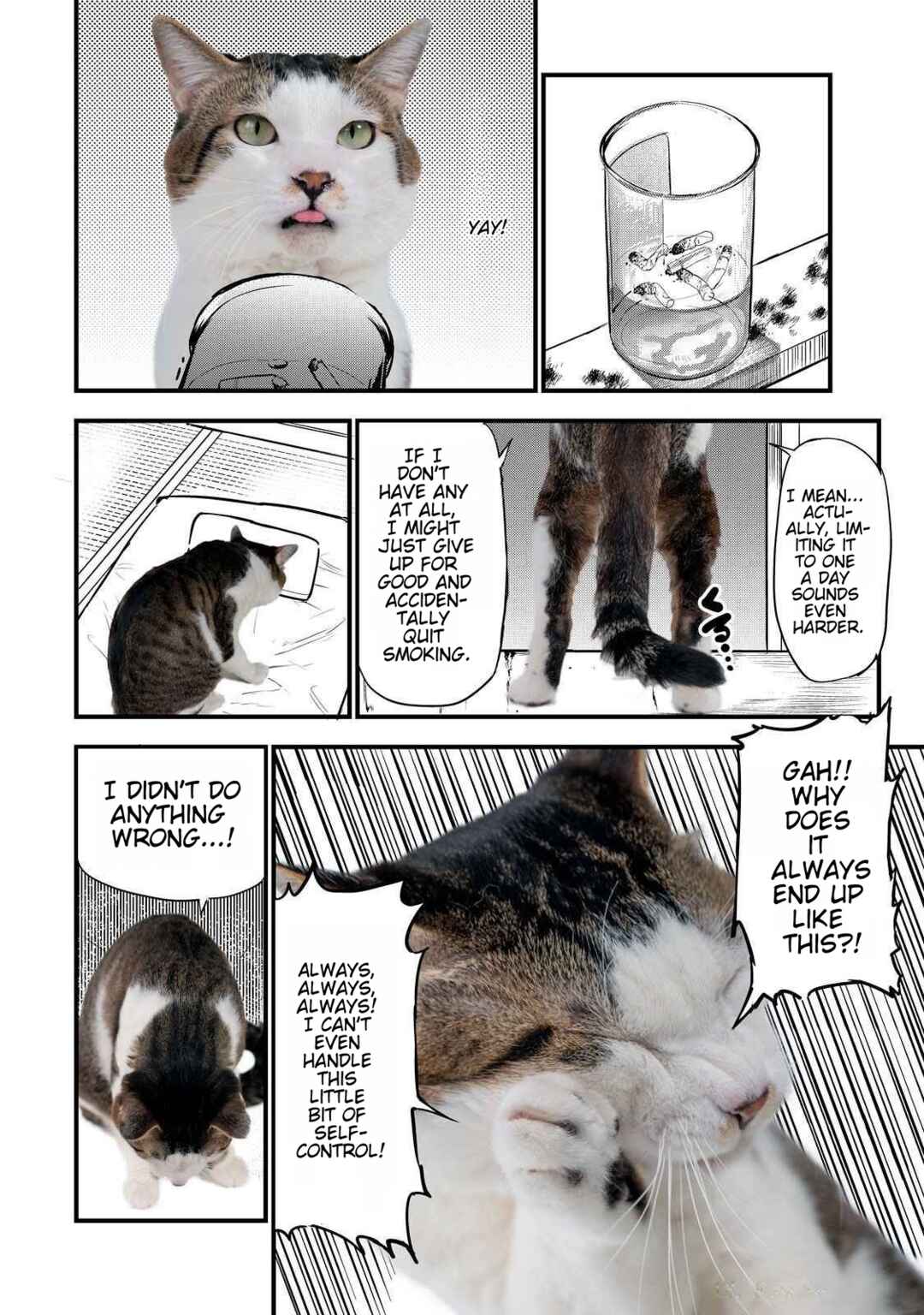 Yani Neko Chapter 141.1 - Page 3