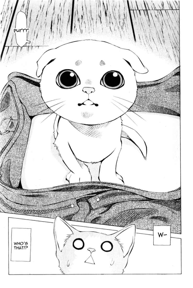 Pastel Chapter 125 - Page 3