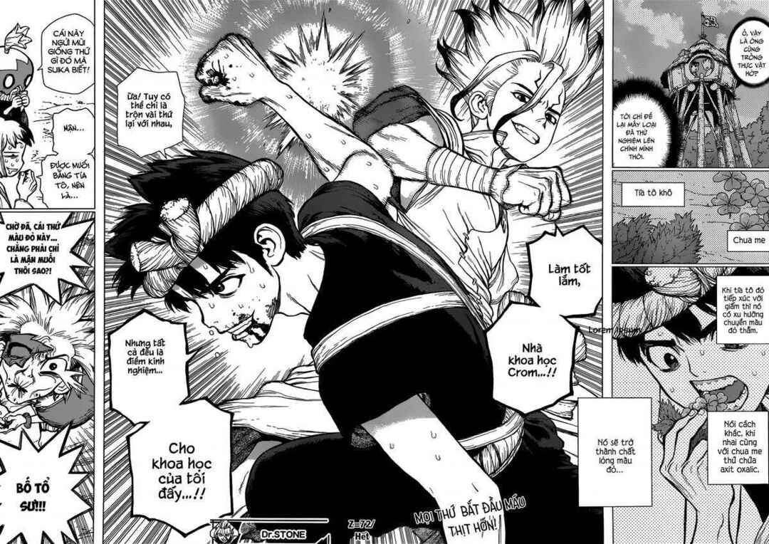 Dr.STONE Chapter 72 - Page 17