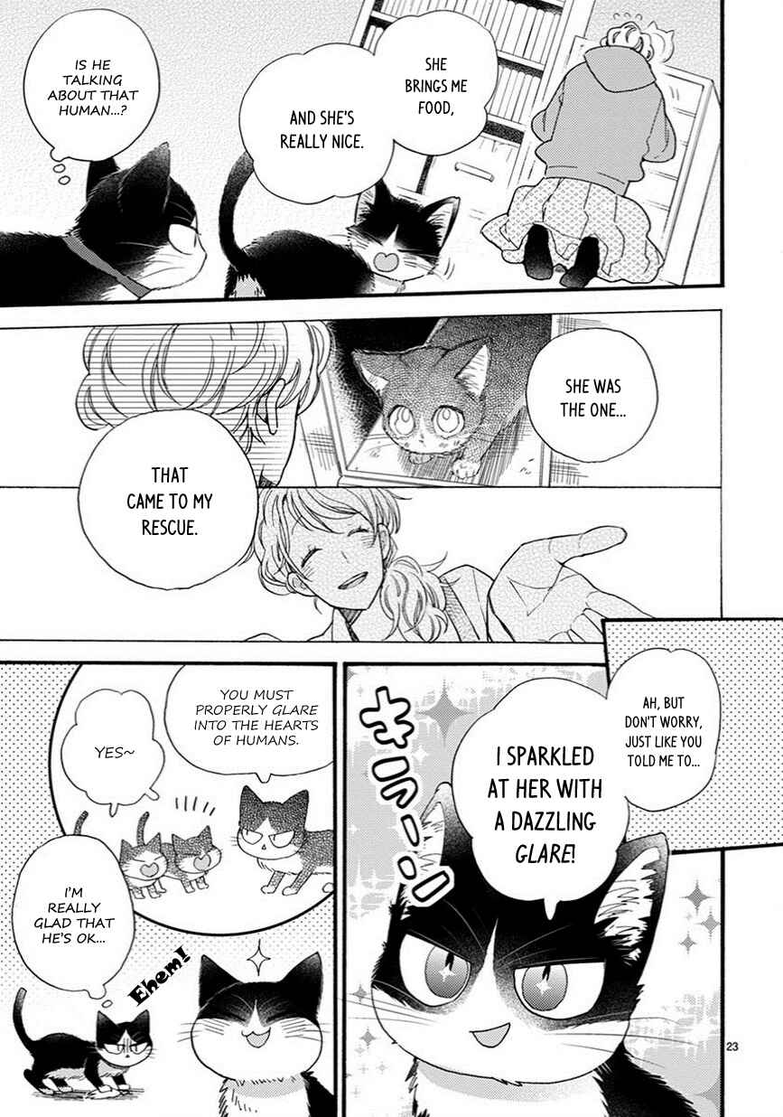 Doukyonin wa Hiza, Tokidoki, Atama no Ue. Chapter 9.5 - Page 8
