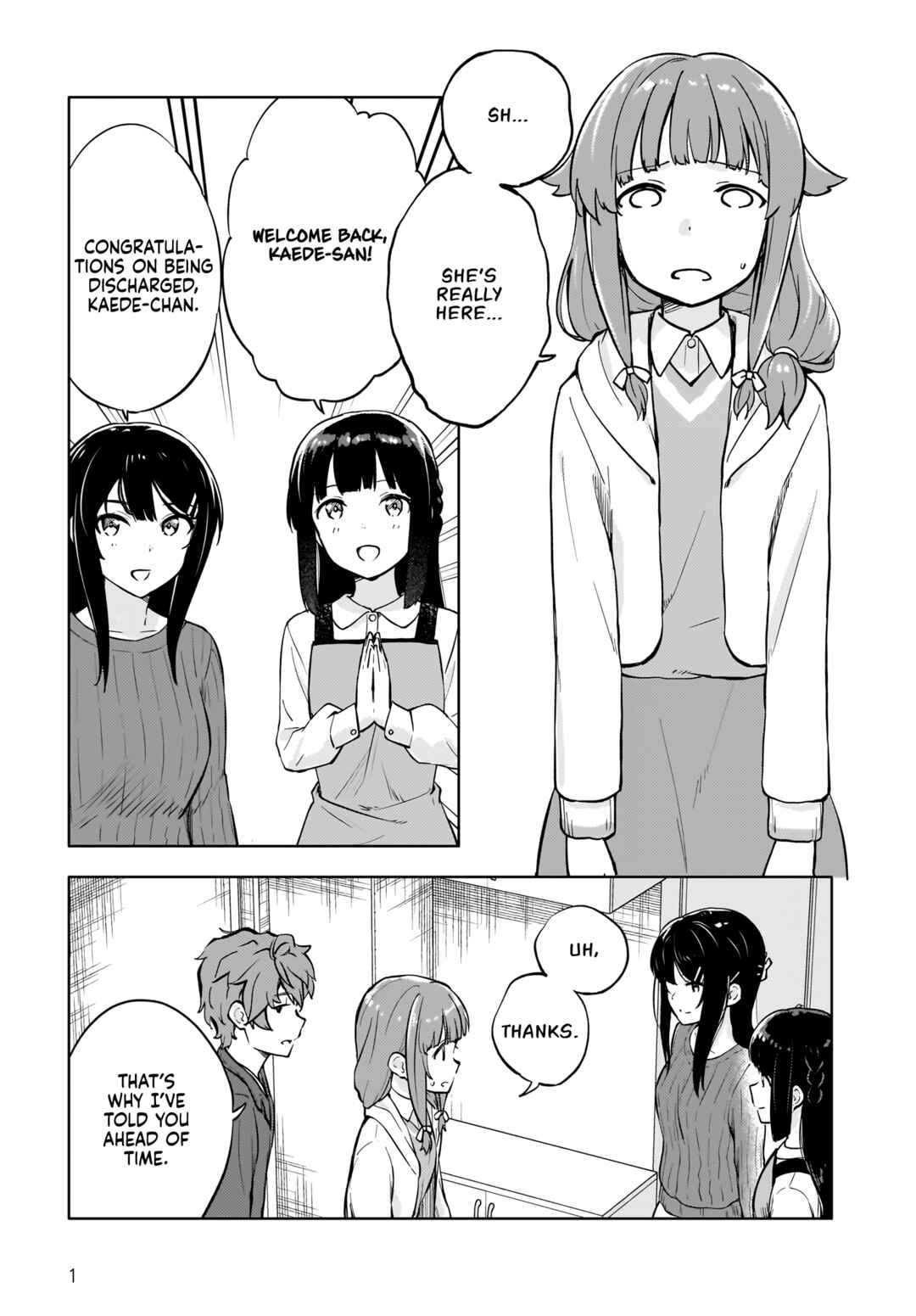 Rascal Does Not Dream of a Dreaming Girl Chapter 9 - Page 1