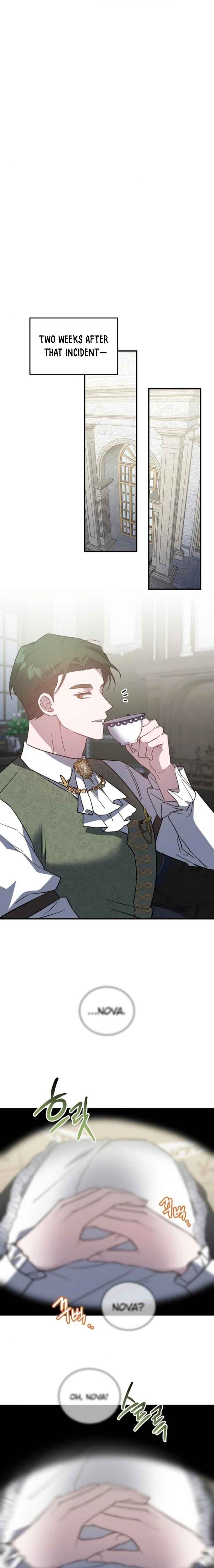 A Revenge Guide for the Terminally Ill Maid Chapter 12 - Page 9